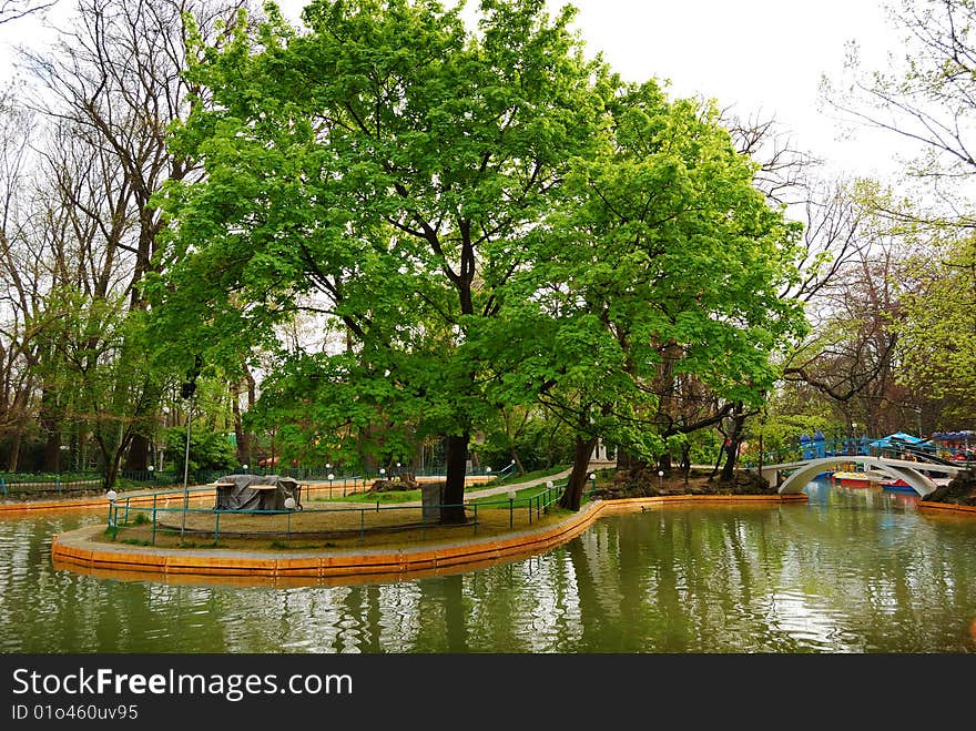 Lake in the park and big green tree