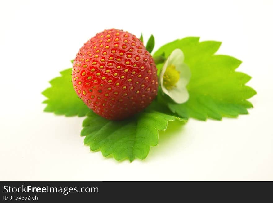 Strawberry with leaves and flower