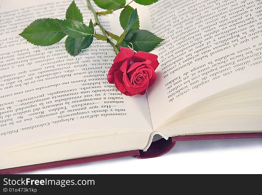 Book and rose.