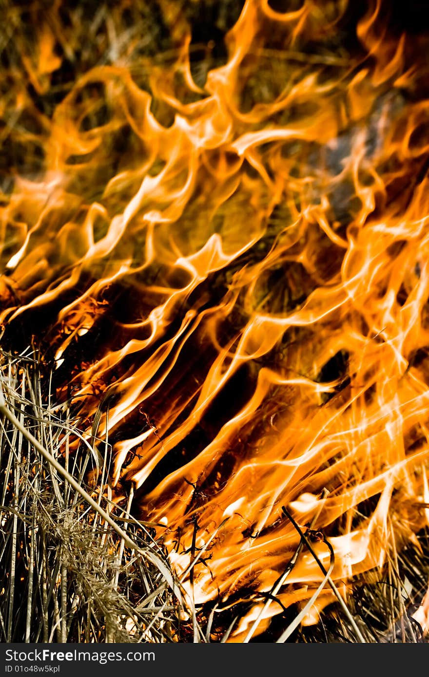 Orange flame burning on black background. Orange flame burning on black background