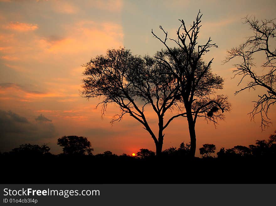 African Sunset, Sabi Sand Reserve