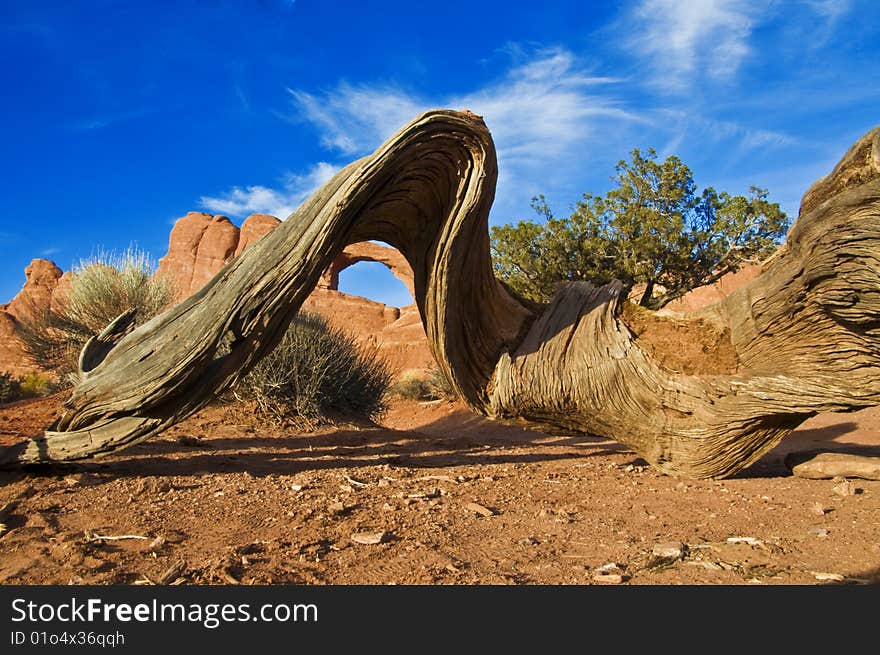 Skyline Arch