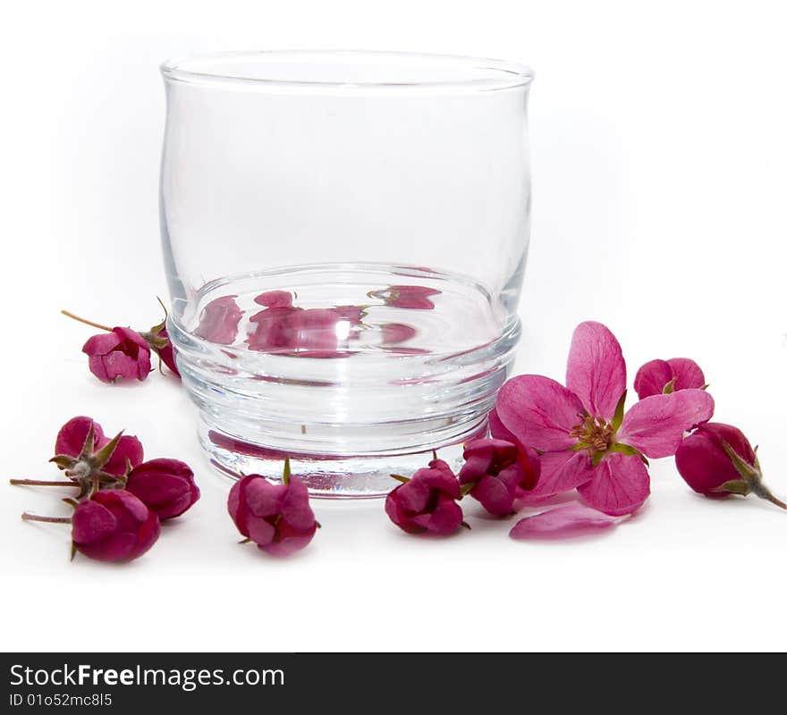 Photo with the Glass and flowers