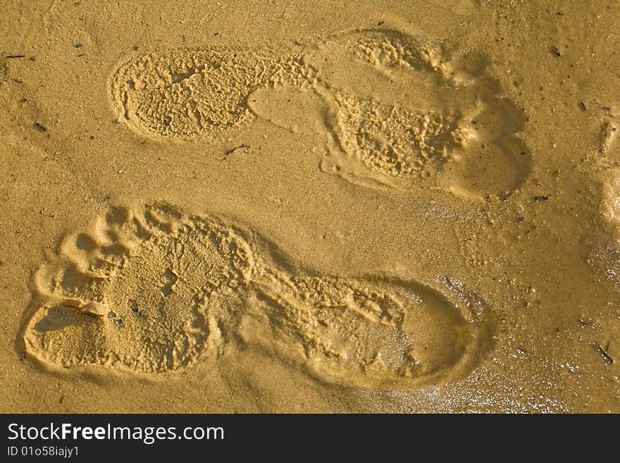 Opposite  footprints on yellow  sand  on the sea beach. Opposite  footprints on yellow  sand  on the sea beach