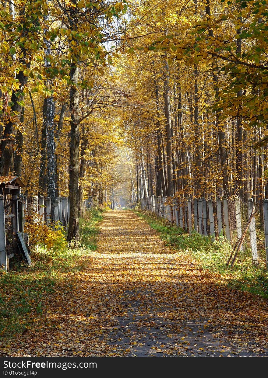 Autumn in National Park, Moscow Region. Autumn in National Park, Moscow Region