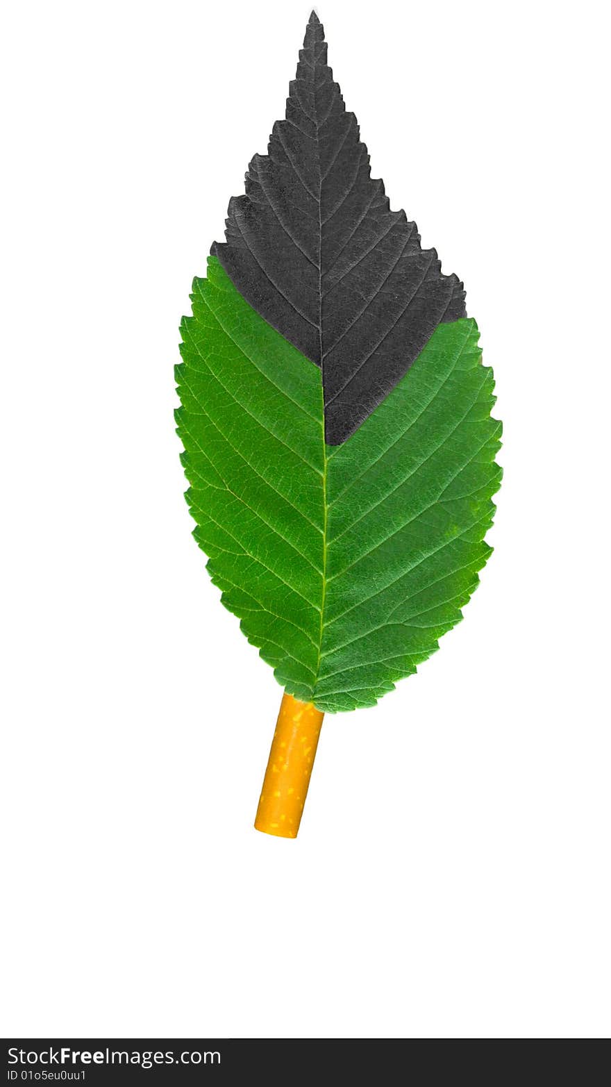 Smoking is harmful to health（metaphors）Cigarettes and green leaves Nicotine. Smoking is harmful to health（metaphors）Cigarettes and green leaves Nicotine