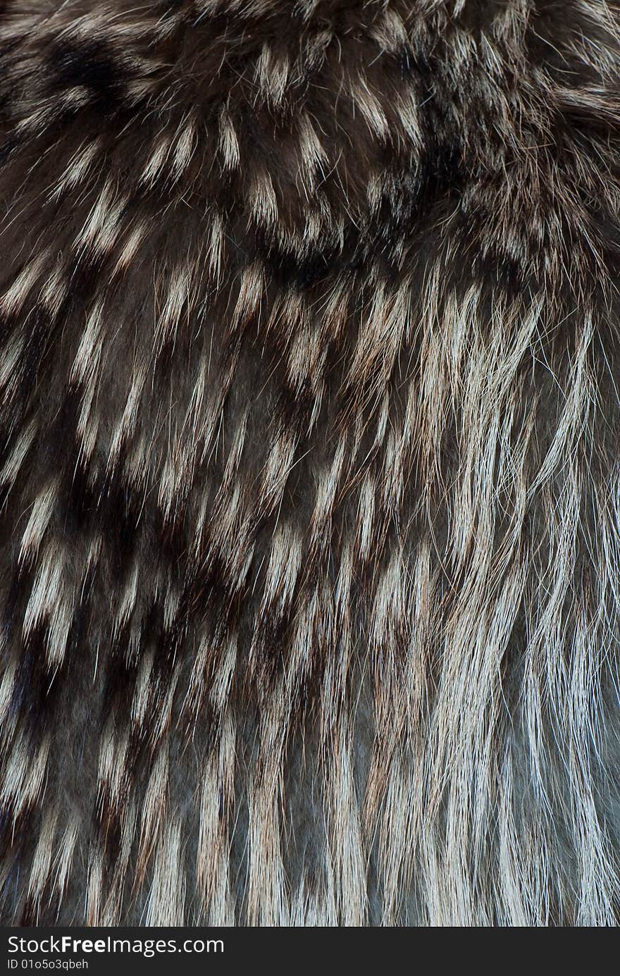 Animal fur texture close-up background