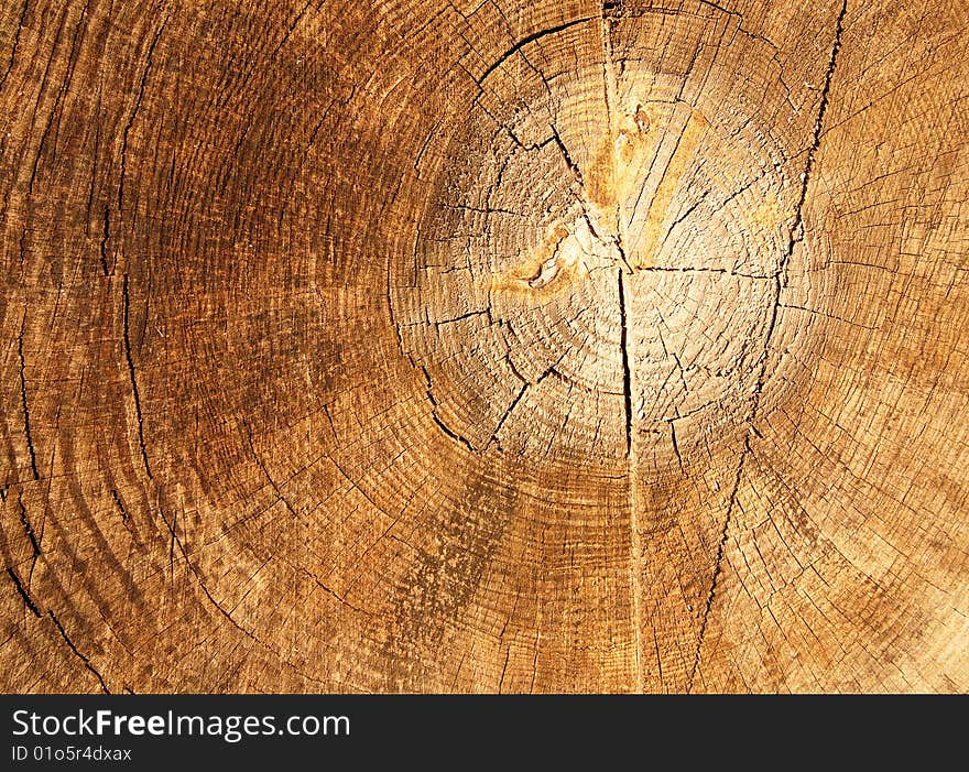 Abstract old brown cracked stump. Abstract old brown cracked stump.