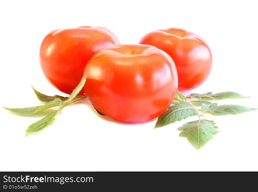 Tomatoes