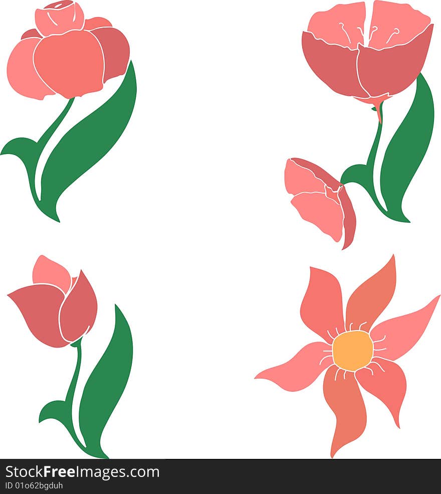 Vector Illustration: flowers for desing