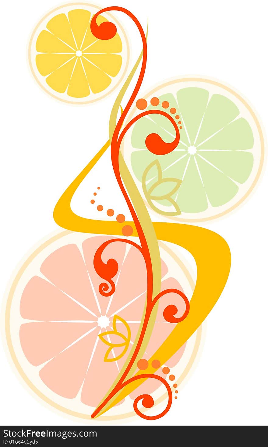 Illustration: vector floral with orange