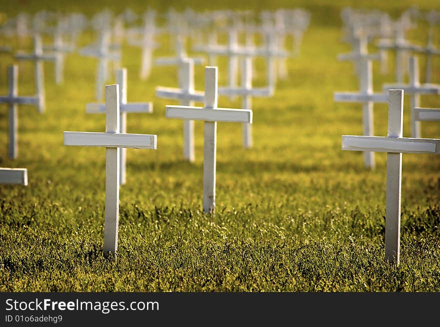 Rows of crosses honoring soldiers killed at war