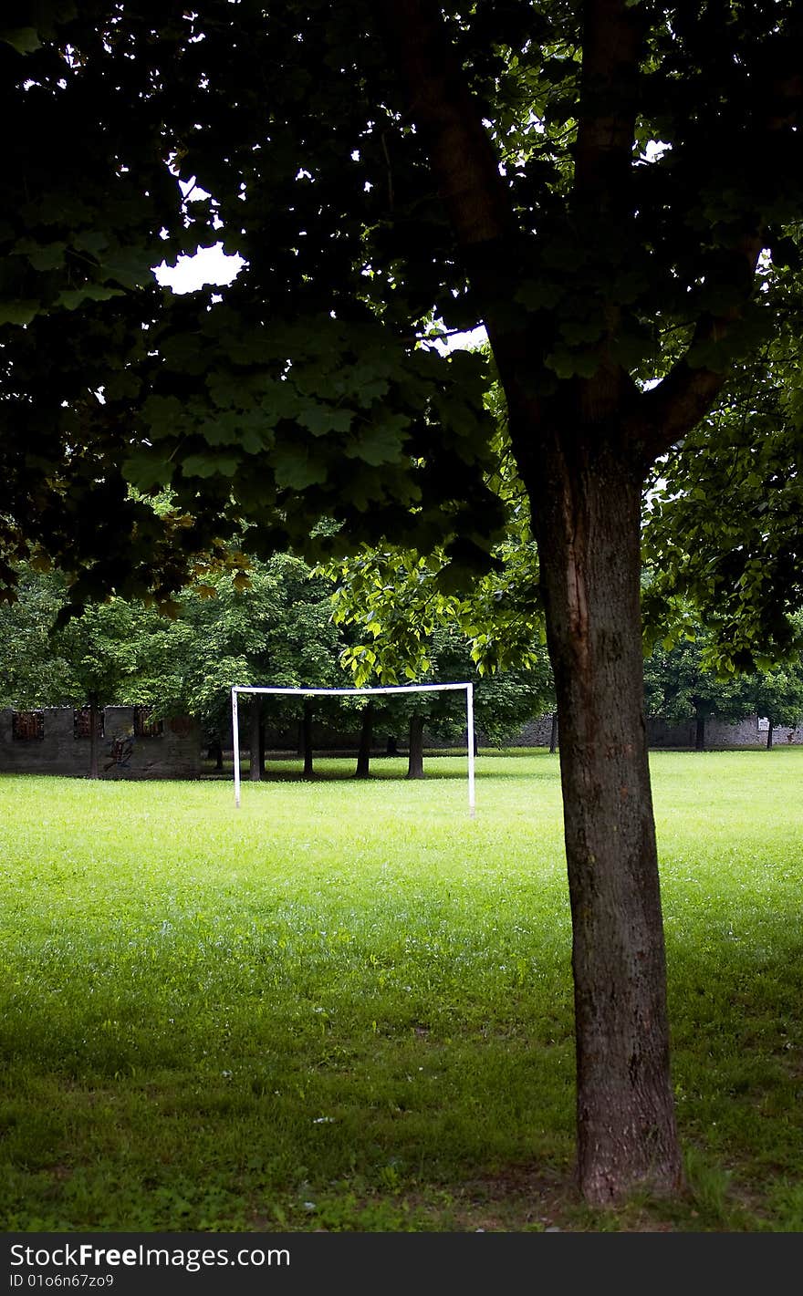 Football field surrounded by green