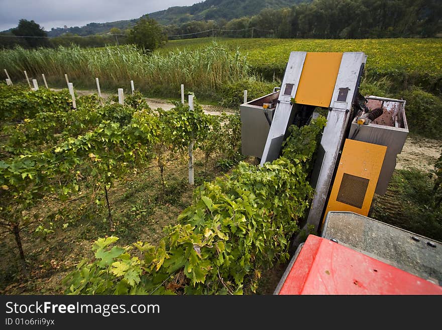 Mechanical harvesting