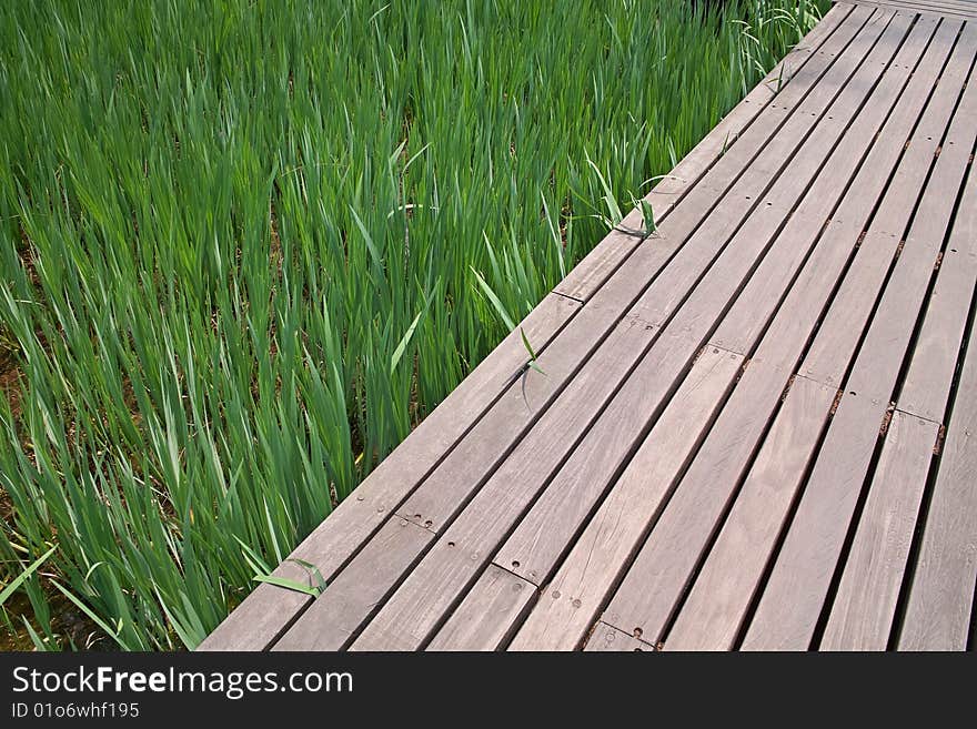 Plank platform and fresh grasses