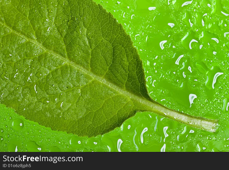 Texture leaf with water drops.Nanure