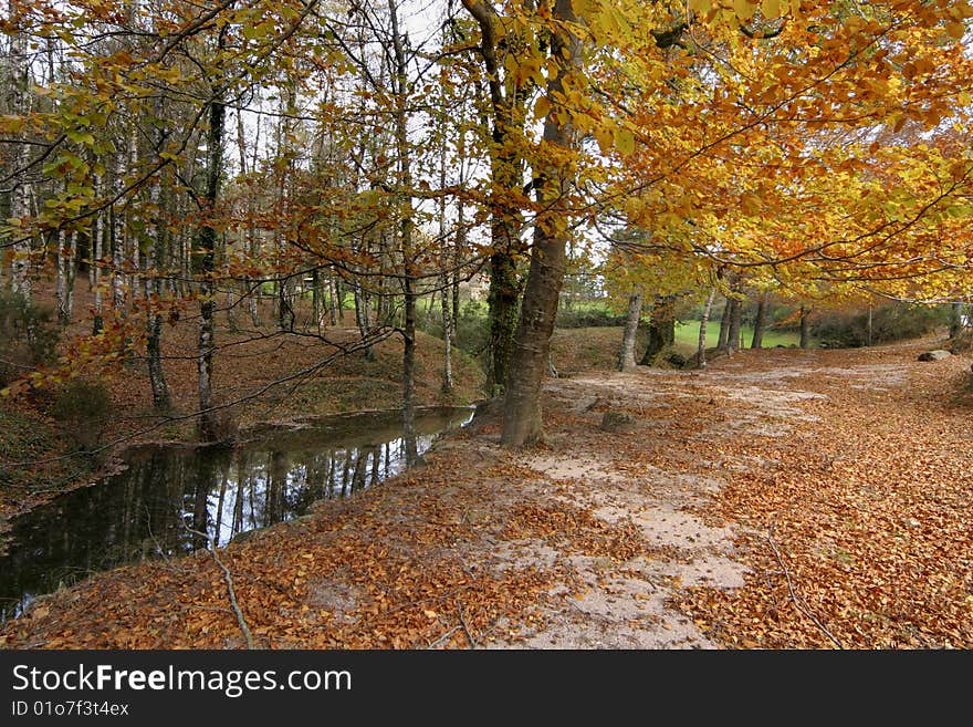 An Autumn Landscape...