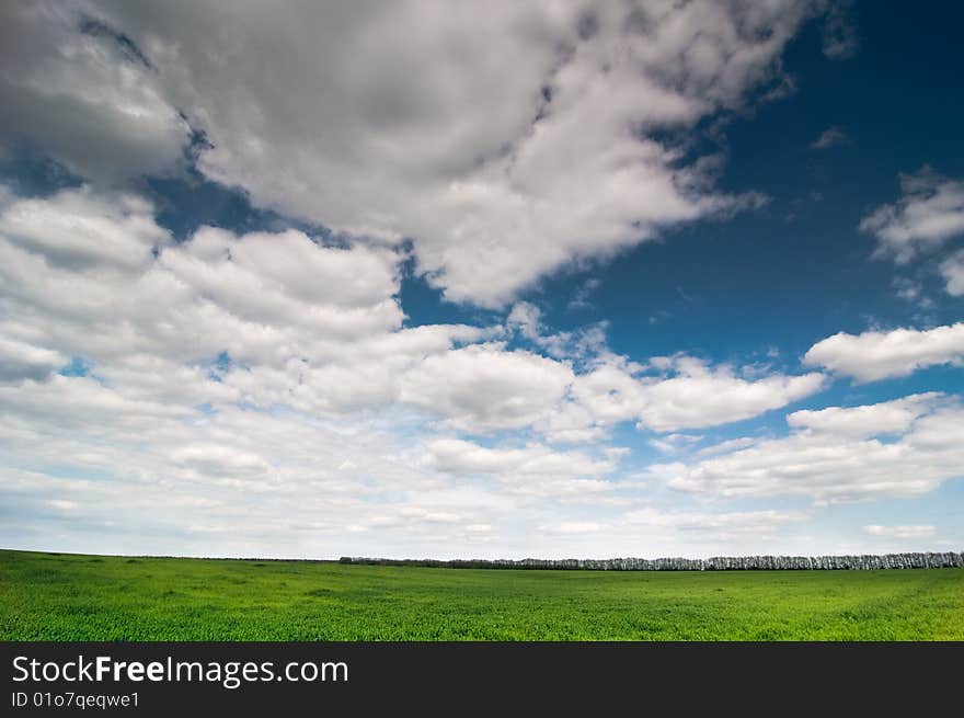 Background of cloudy sky and grass. Background of cloudy sky and grass