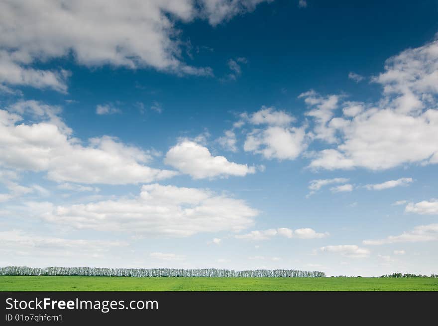 Background of cloudy sky and grass. Background of cloudy sky and grass