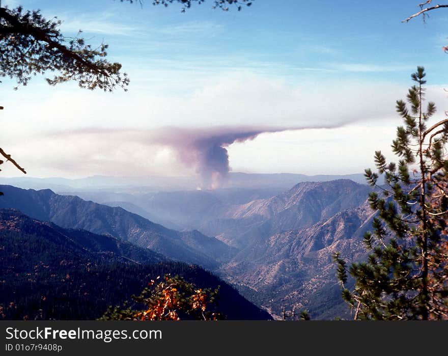 California forest fire