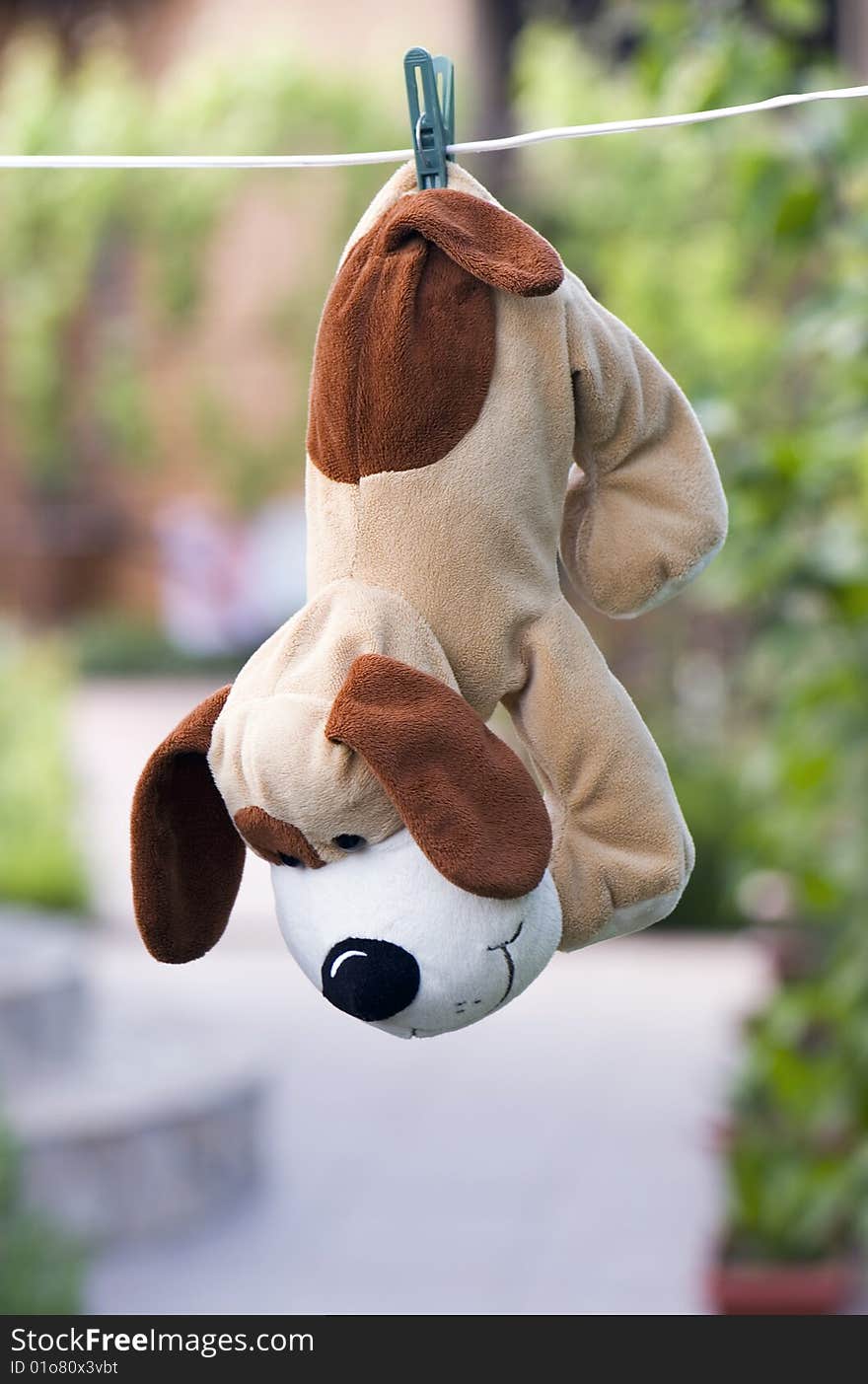 Children's toy: the plush dog hangs on a cord. Children's toy: the plush dog hangs on a cord