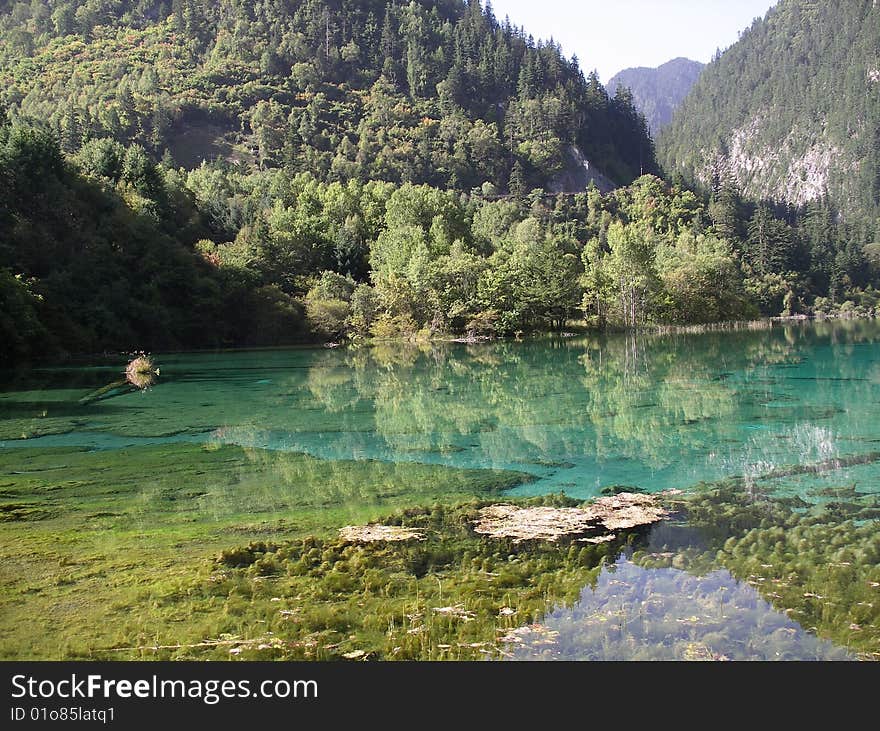 Glamourous Pool in mild of China