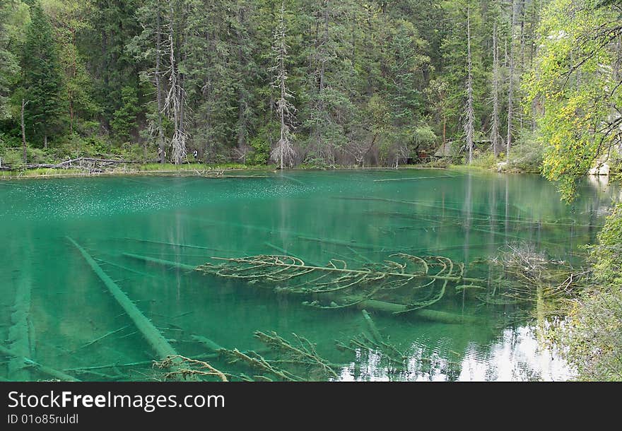 Glamourous Pool in middle of China