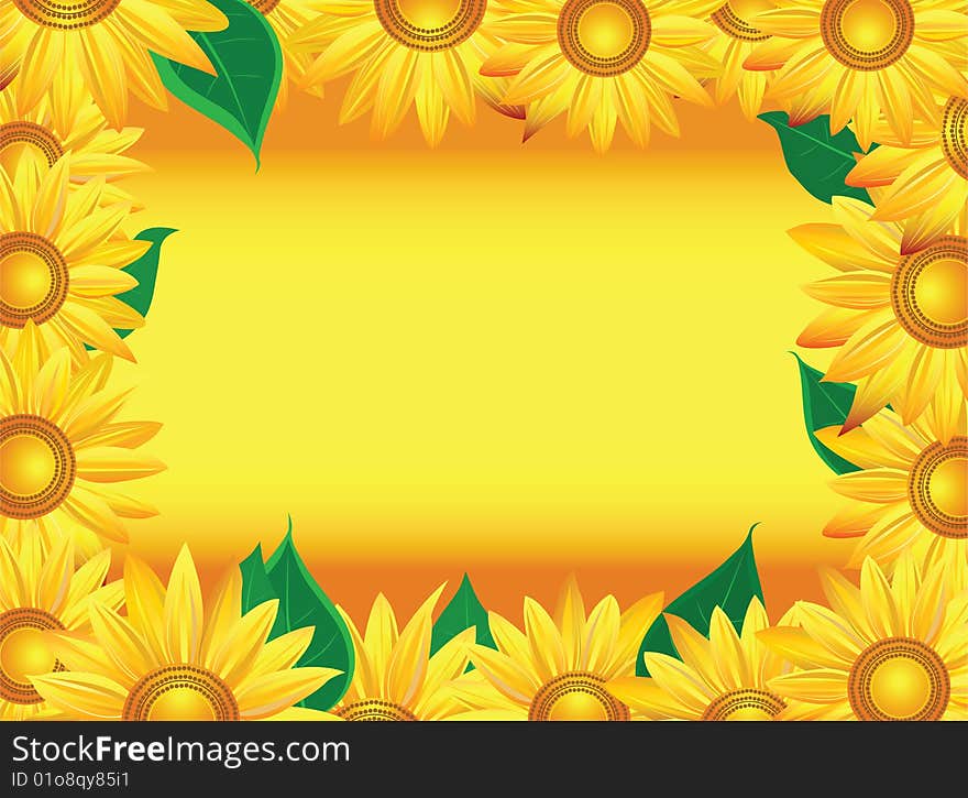 Sunflower background