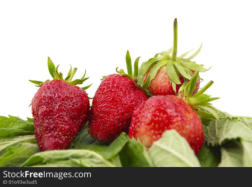 Fresh strawberry on a white background. Fresh strawberry on a white background