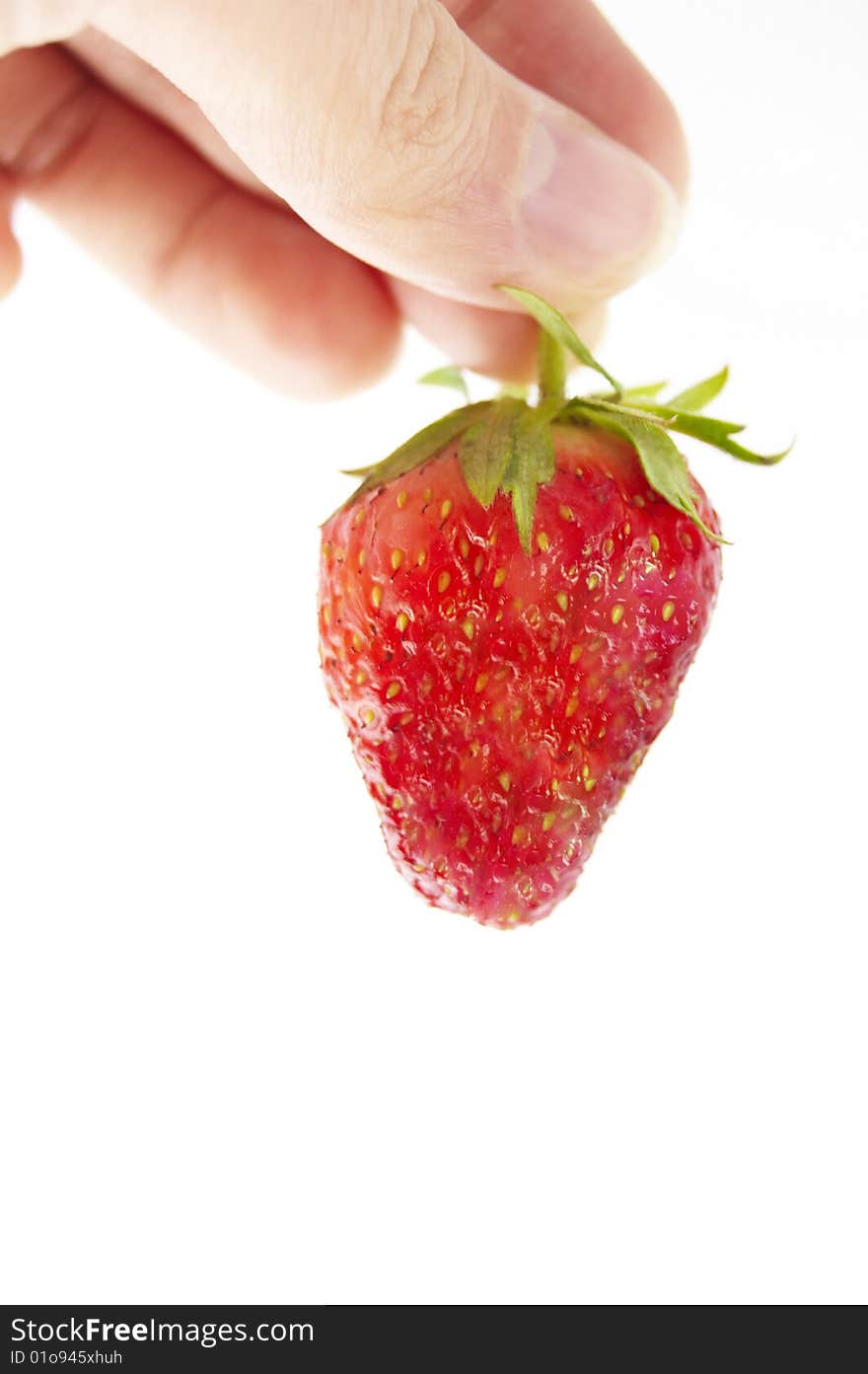 Fresh strawberry in hand on a white background