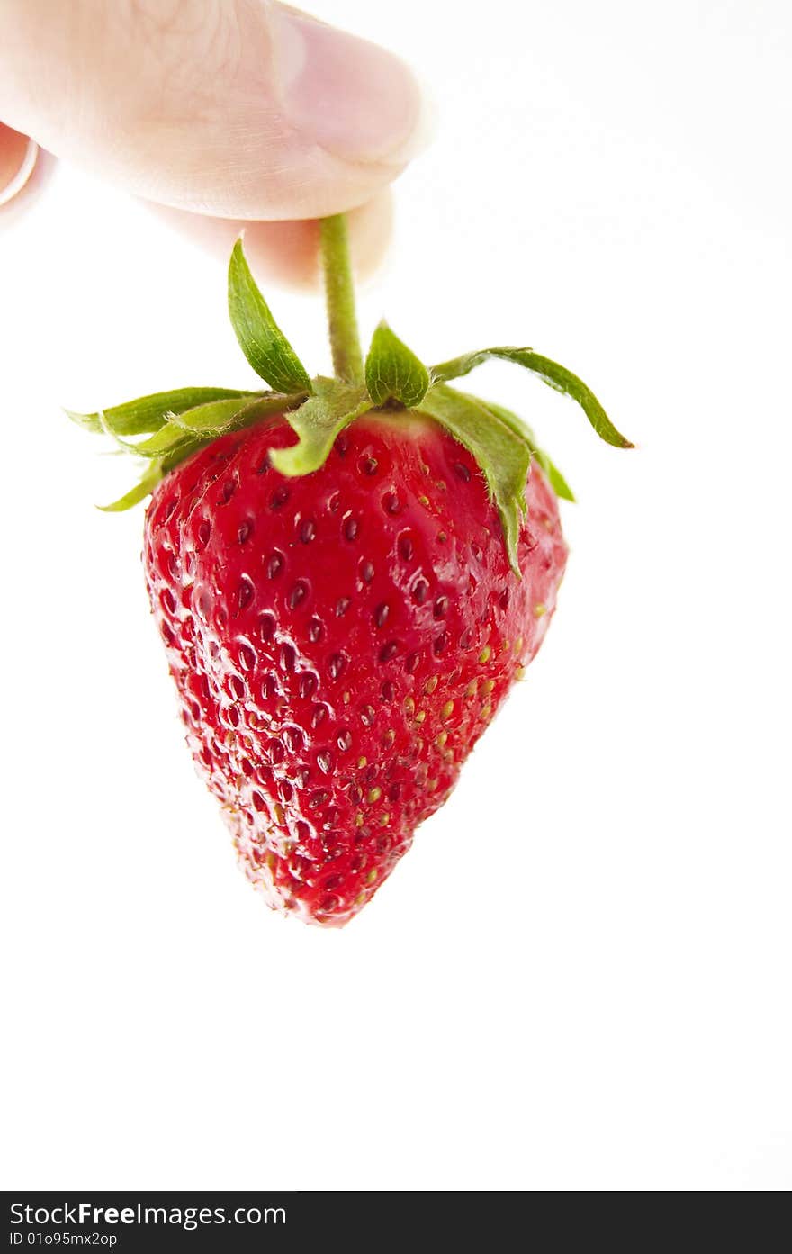 Fresh strawberry in hand on a white background