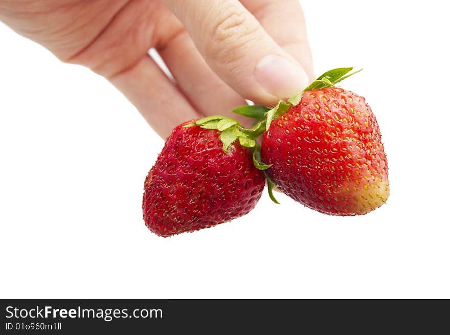 Fresh strawberry in hand on a white background