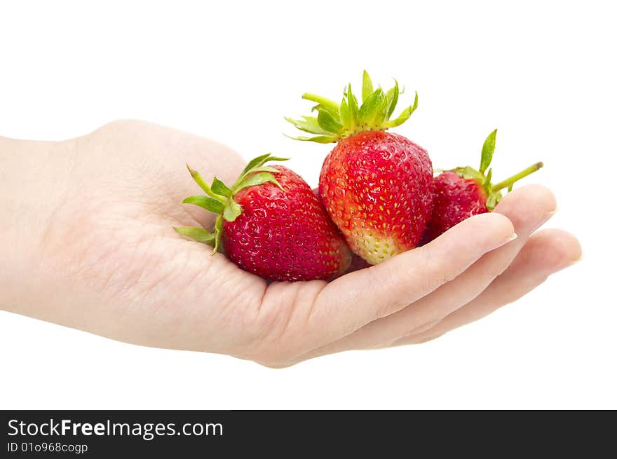 Fresh strawberry in hand on a white background