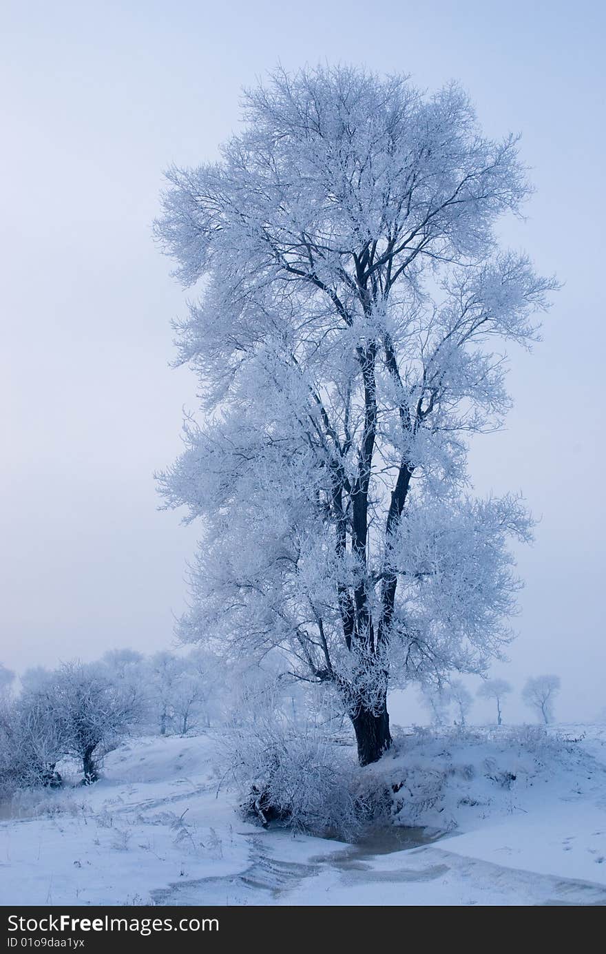 Rime in rime island Northeast China