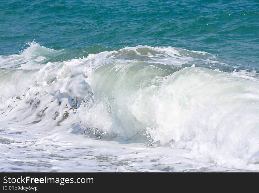 Wave on the sea beach