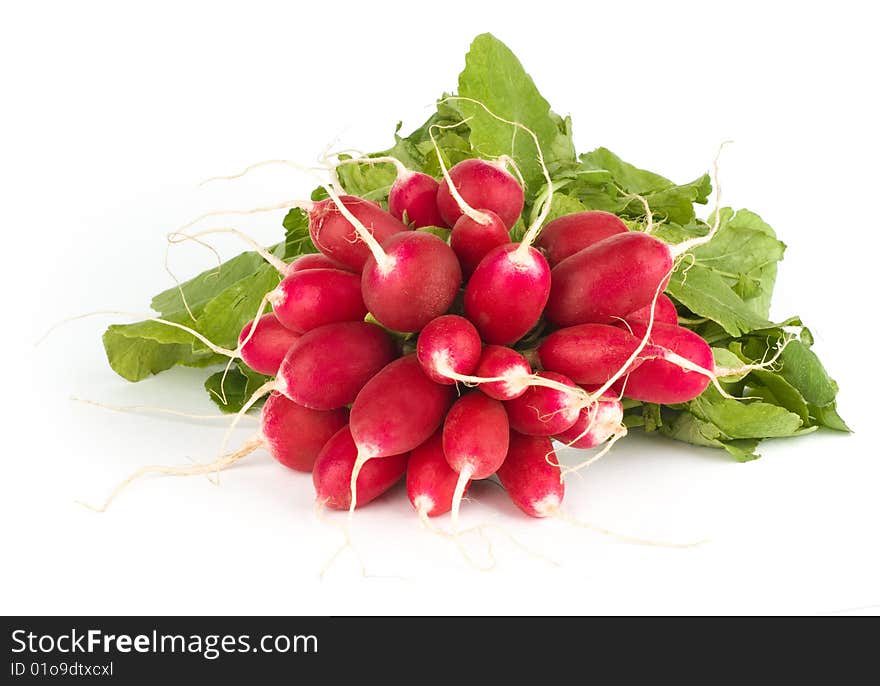 Fresh radish bunch