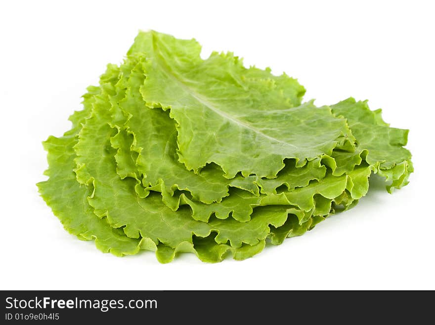 Five Leaves of lettuce on the white background. Five Leaves of lettuce on the white background