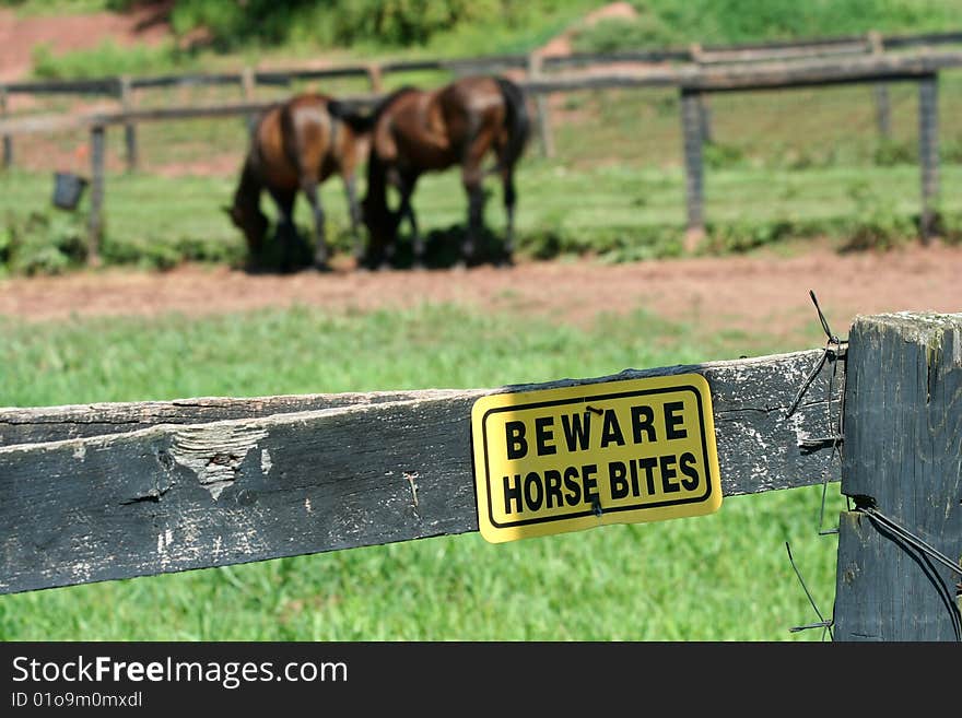 A Yellow Beware horse bites sign