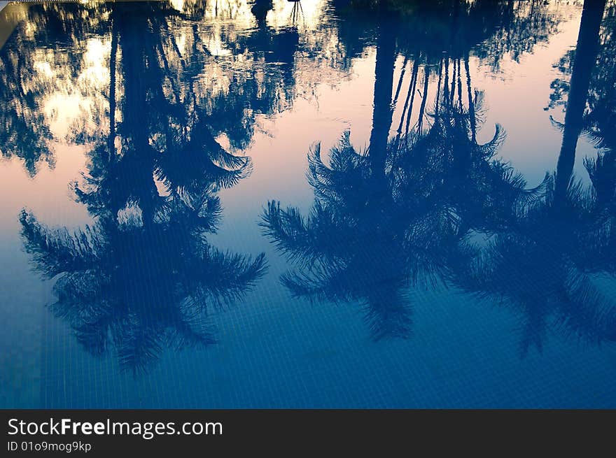 Sunset- and palm-reflection in a swimming pool. Sunset- and palm-reflection in a swimming pool