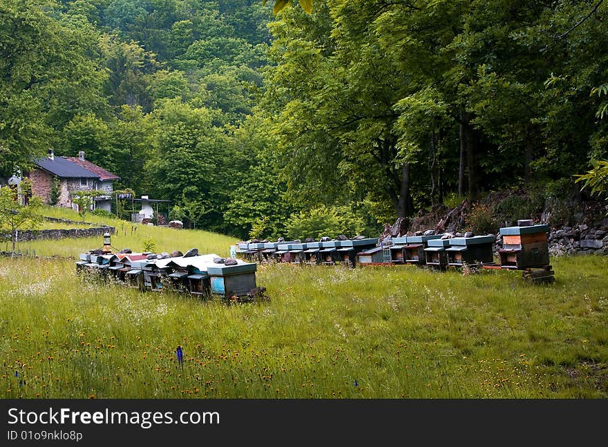 Hives in a mountain meadow. Hives in a mountain meadow