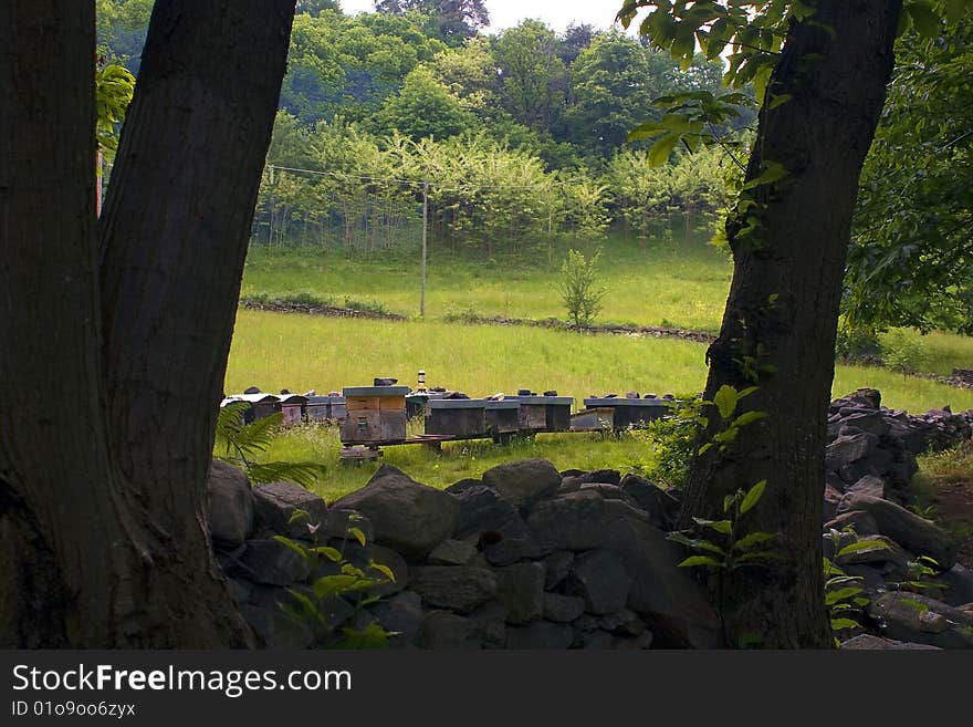 Hives in a mountain meadow. Hives in a mountain meadow