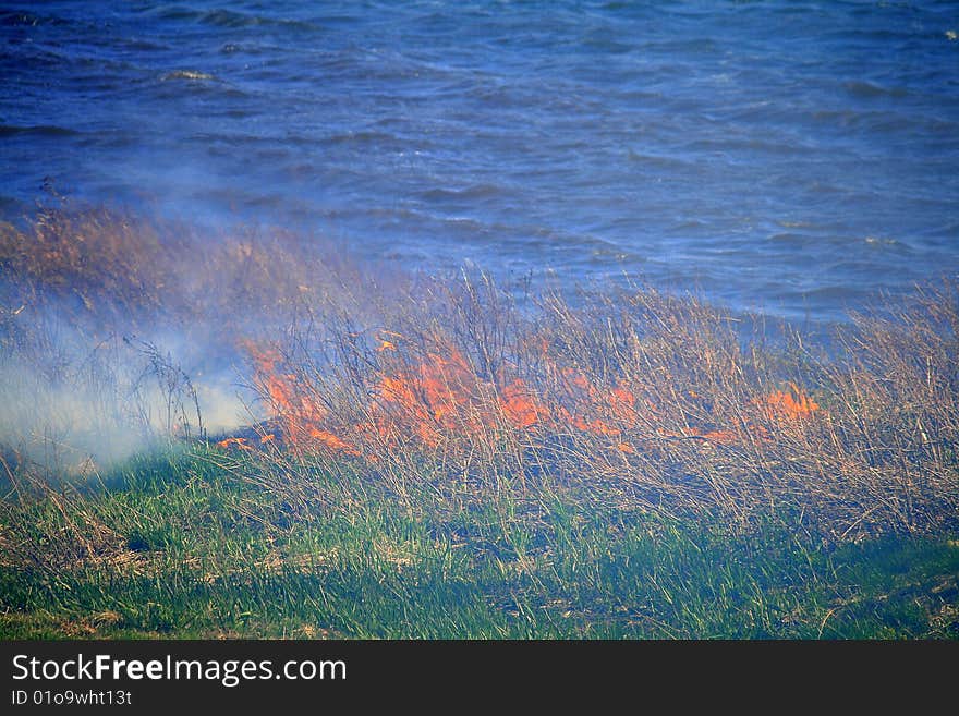 Brush fire near a lake in Spring