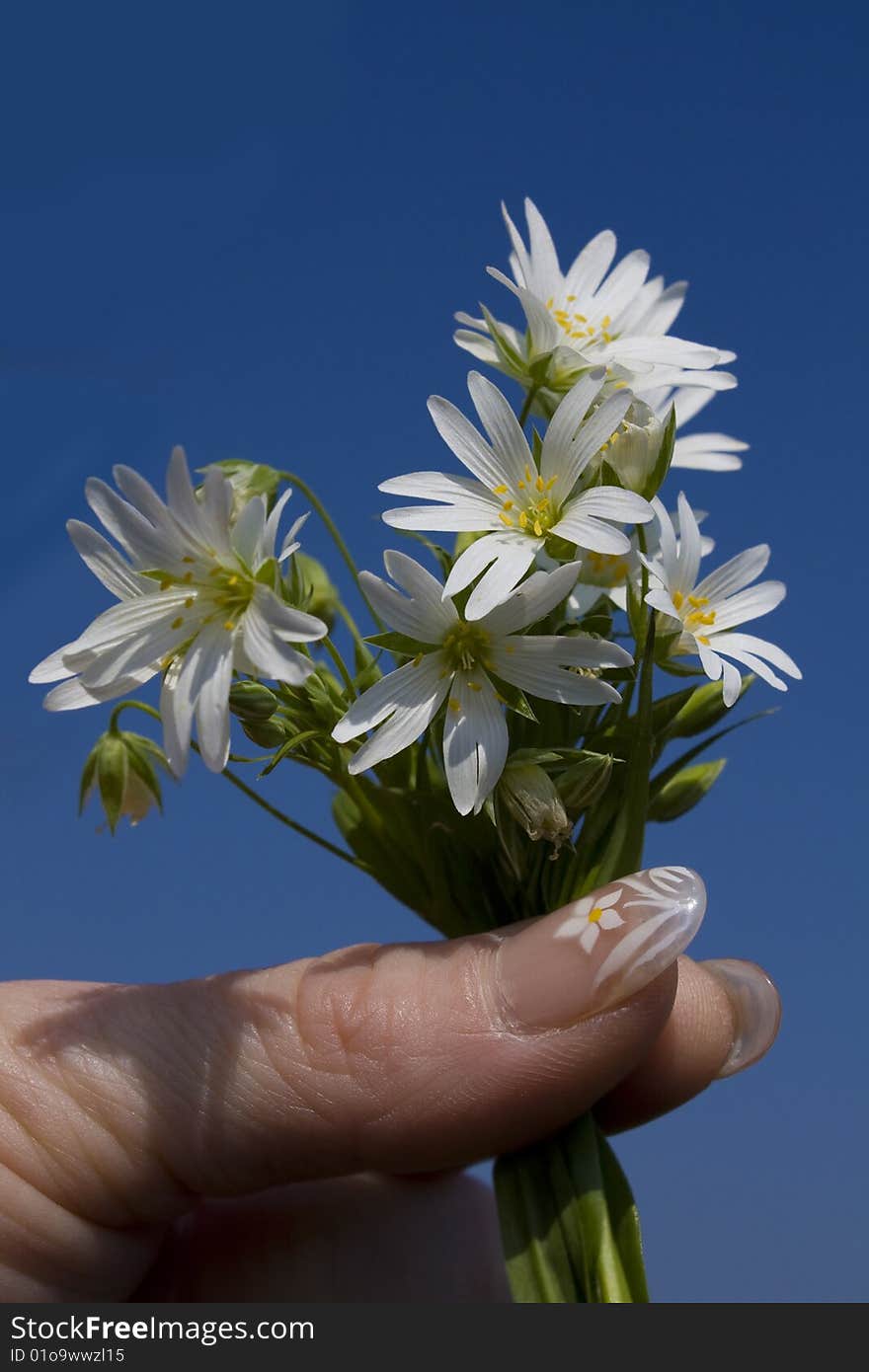 Flowers And Painted Fingernails