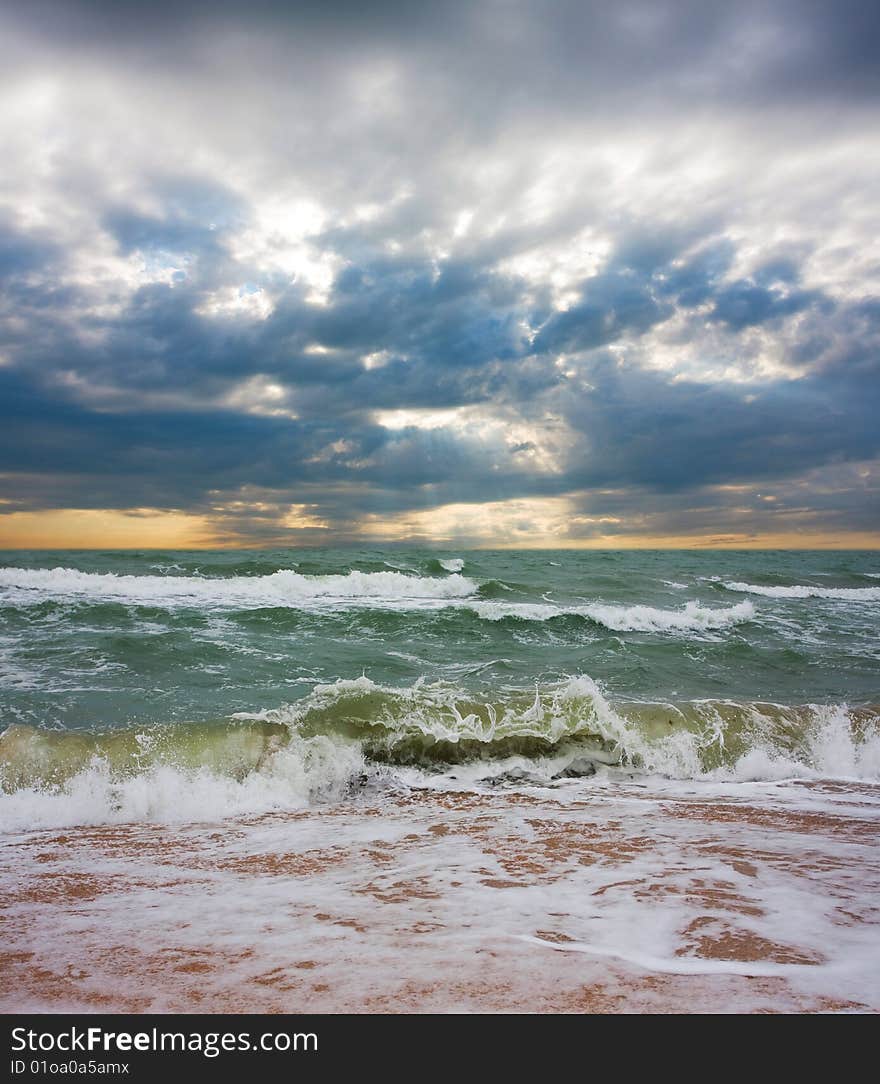 Wave on the sea beach