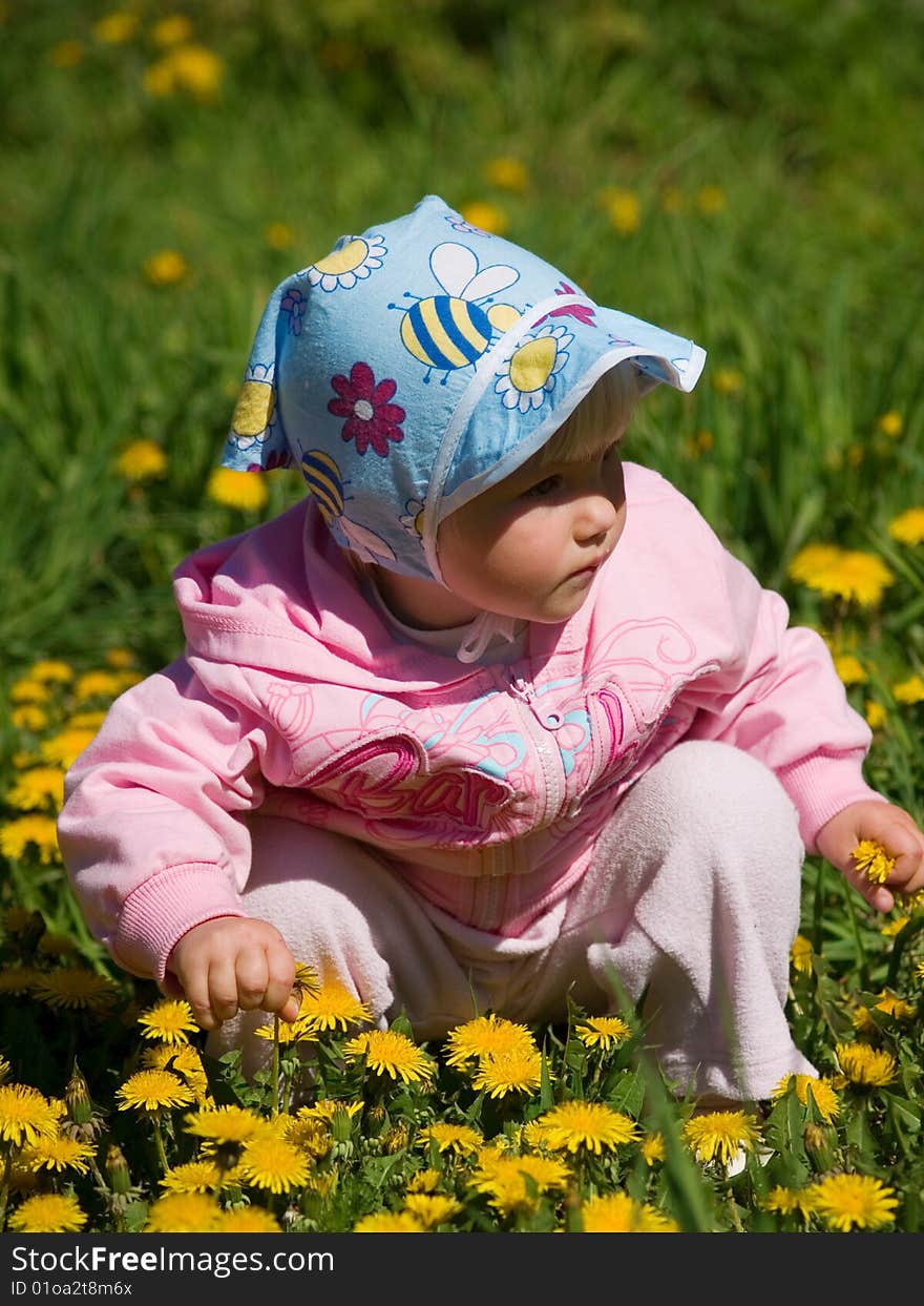 Little girl amongst yellow dandelion. Little girl amongst yellow dandelion