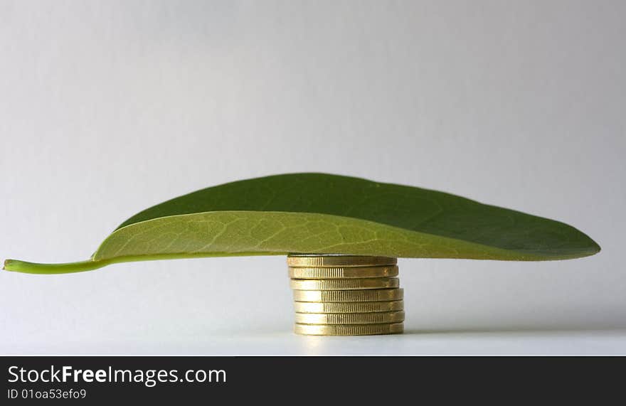 Leaf over a heap of coins. Leaf over a heap of coins