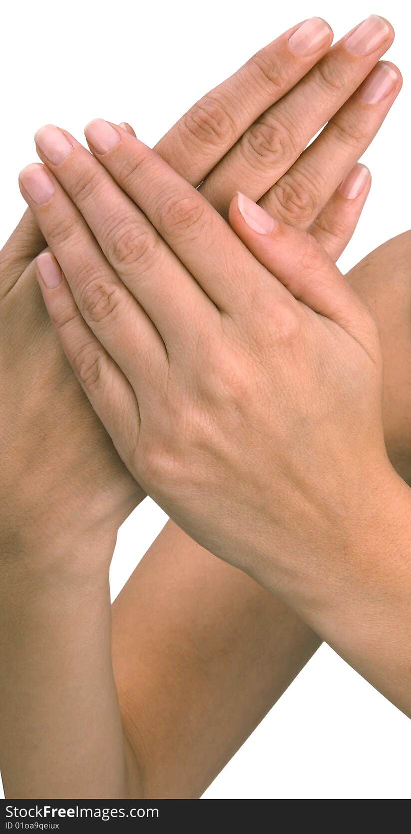 Hands of a young woman, well-kept isolated on a white background.