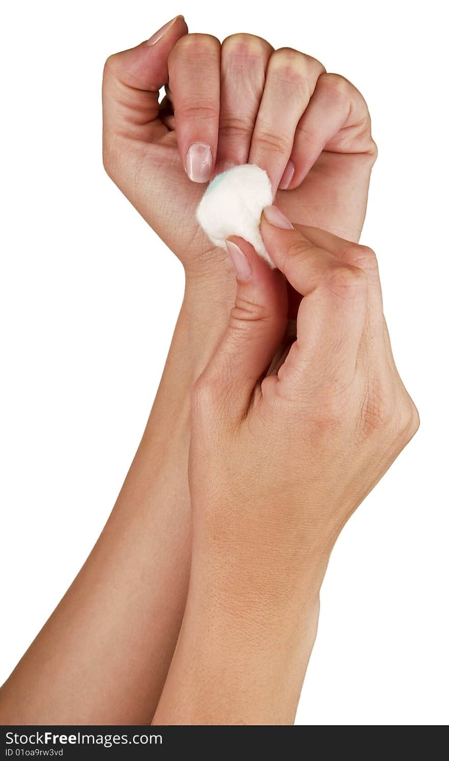 Hands of a young woman, well-kept isolated on a white background.