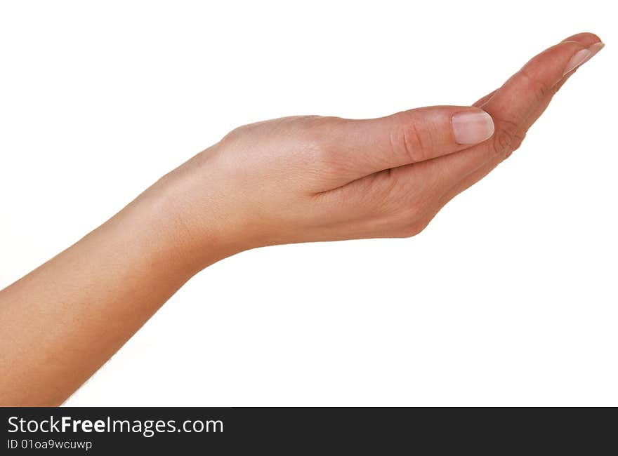 Hand of woman isolated on white background. Hand of woman isolated on white background