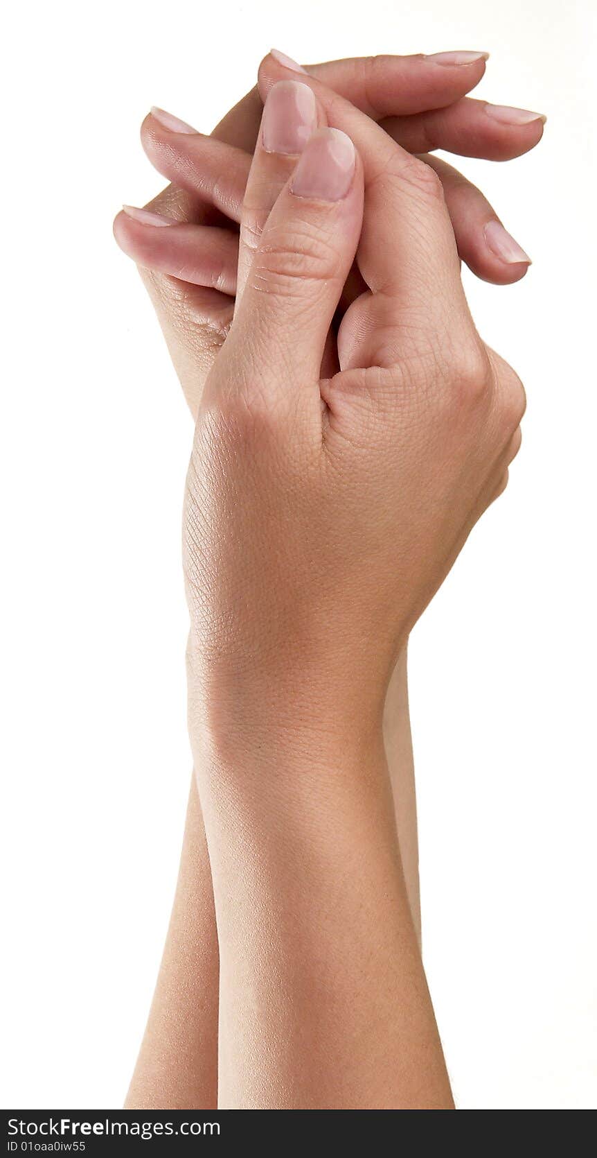 Hands of a young woman, well-kept isolated on a white background.